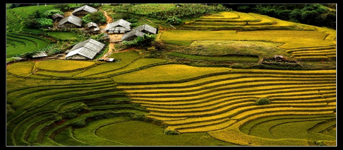 SAPA LAO CAI